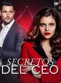Secretos del CEO cover