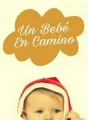 Un bebe en camino cover