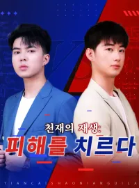 천재의 재생: 피해를 치르다