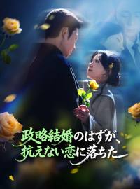 政略結婚のはずが、 抗えない恋に落ちた
