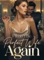 I Won't Be Your Perfect Wife Again cover