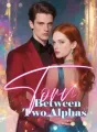 Choose Between Two Alphas cover