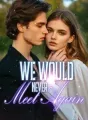 We Would Never Meet Again cover