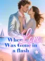 When Love Was Gone in a flash cover
