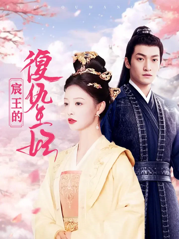 宸王的復仇王妃