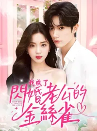 我成了閃婚老公的金絲雀