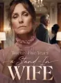 Twenty-Five Years a Stand-In Wife cover