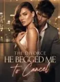 The Divorce He Begged Me to Cancel cover