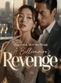 Discarded After the Twins: A Billionaire's Revenge cover