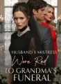 My Husband's Mistress Wore Red to Grandma's Funeral cover