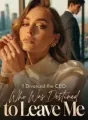 I Divorced the CEO Who Was Destined to Leave Me cover
