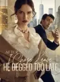 After Seven Years, I Chose Leave, He Begged Too Late cover