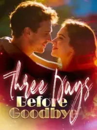 Three Days Before Goodbye