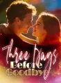  Three Days Before Goodbye cover
