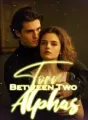 Torn Between Two Alphas cover