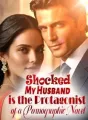 Shocked: My Husband is the Protagonist of a Pornographic Novel! cover
