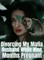 Divorcing My Mafia Husband While Nine Months Pregnant cover