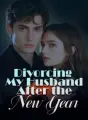 Divorcing My Husband After the New Year cover