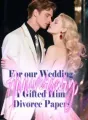 For our Wedding Anniversary, I Gifted Him Divorce Papers cover