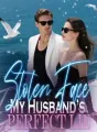 Stolen Face My Husband’s Perfect Lie cover