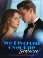 We Divorced Over One Sentence cover