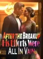 After the Breakup, His Efforts Were All In Vain cover