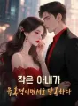 미스터리한 레이놀즈 씨는 열렬히 사랑에 빠진다 cover