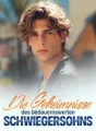 Die Geheimnisse des bedauernswerten Schwiegersohns cover