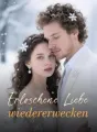 Erloschene Liebe wiedererwecken cover