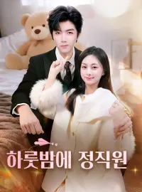 하룻밤에 정직원