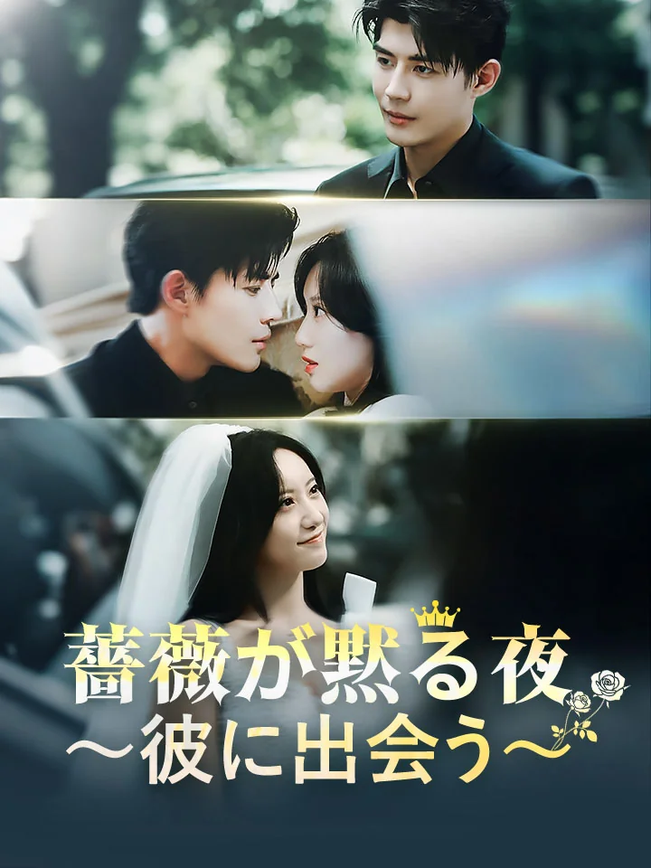 薔薇が黙る夜～彼に出会う～
