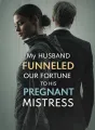 My Husband Funneled Our Fortune to His Pregnant Mistress cover