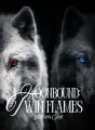 Moonbound: Twin Flames cover