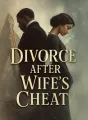 Divorce After Wife's Cheat cover