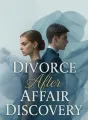 Divorce After Affair Discovery cover