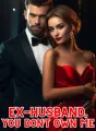 Ex-Husband, You Don't Own Me cover