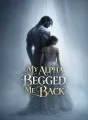 My Alpha Begged Me Back cover