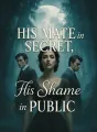 His Mate in Secret His Shame in Public cover