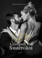 CEO lumpuh itu, suamiku cover