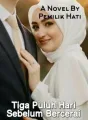 Tiga Puluh Hari Sebelum Bercerai cover