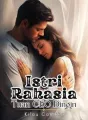 Istri Rahasia Tuan CEO Dingin  cover