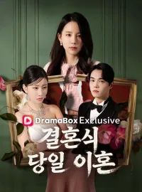 결혼식 당일 이혼