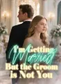 I'm Getting Married, But the Groom is Not You cover