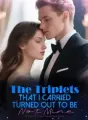 The Triplets That I Carried Turned Out to Be Not Mine cover