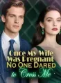 Once My Wife Was Pregnant, No One Dared to Cross Me cover