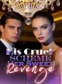 His Cruel Scheme, Her Sweet Revenge cover