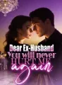 Dear Ex-Husband, You will never Hurt me again cover