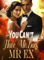 You Can't Have Me Back, Mr Ex cover