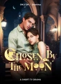 Forbidden Alpha:Luna's destiny cover