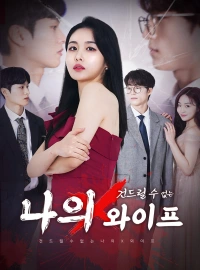건드릴 수 없는 나의 X 와이프
